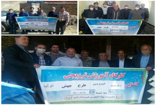  کارگاهای آموزشی جهش تولید در دیمزارهای شهرستان آوج