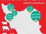 درخشش آذربایجان شرقی در بازار خوراک دام کشور/ کسب رتبه برتر فروش نهاده های دامی در آذرماه 1404