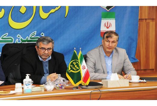 ذخیره 500 هزارتنی مرکبات در مازندران/ مسیر صادرات باید کم هزینه باشد