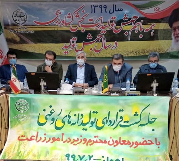 رشد ۱۰۶ درصدی کشت محصولات تابستانه در خوزستان