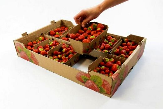 بسته‌بندی و بازاریابی توت فرنگی نیازمند توجه ویژه است