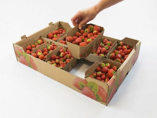بسته‌بندی و بازاریابی توت فرنگی نیازمند توجه ویژه است
