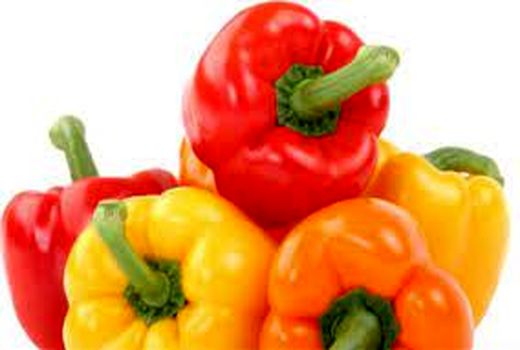 آغاز صادرات فلفل دلمه‌ای به روسیه از ۱۴ اسفند