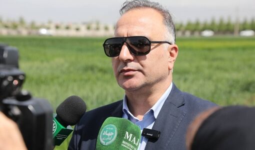 برداشت گندم در ۶ استان آغاز شد/ ۲۰۰ هزار تن تحویل مراکز خرید