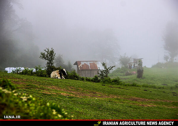 روستای ییلاقی اولسبلانگا