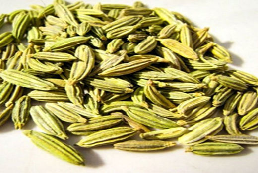 18.5 هزار هکتار سطح زیر کشت زیره سبز در خراسان رضوی