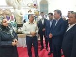 ۷۷ صندوق خرد زنان روستایی و عشایری در استان بوشهر فعال است