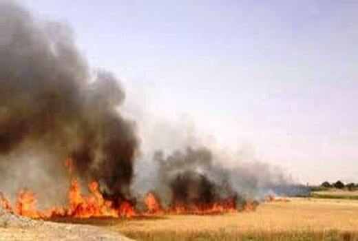 ارائه آموزشی اطفا حریق به 8620 نفر روز در اداره کل منابع طبیعی استان سمنان