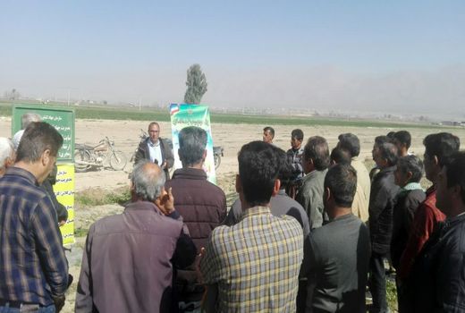 کاروان ترویجی در کوار تولید گواهی شده را دنبال کرد