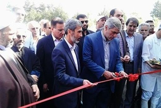 کارخانه‌ی مخروبه رابه تولیدکننده‌ی گوشت تبدیل کردیم