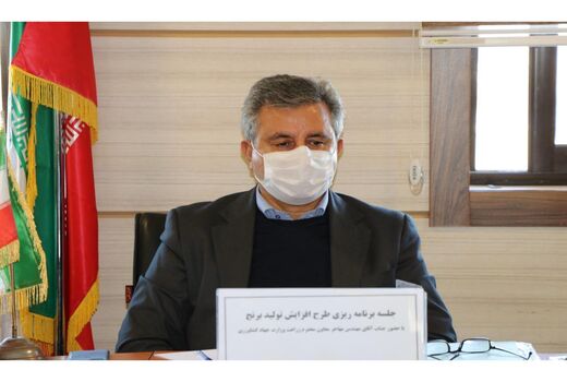 ۲ میلیون تن برنج در کشور تولید می‌شود