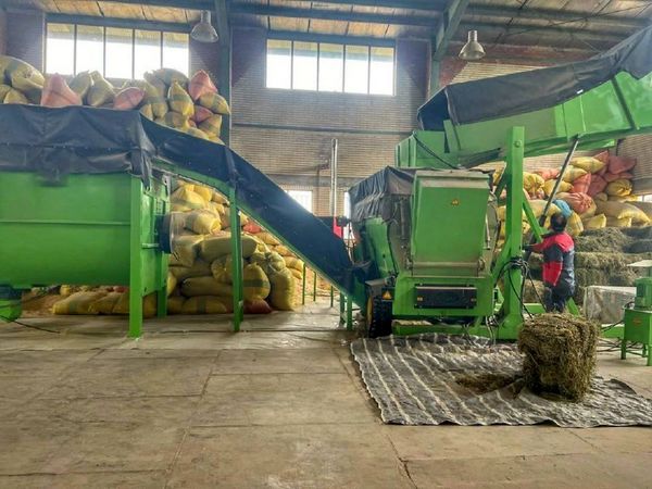 ناترازی انرژی، بهره‌وری را نشانه گرفته است