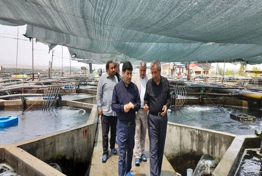 دعوت از سرمایه‌گذاران برای سرمایه‌گذاری در حوزه شیلات جلفا و خداآفرین
