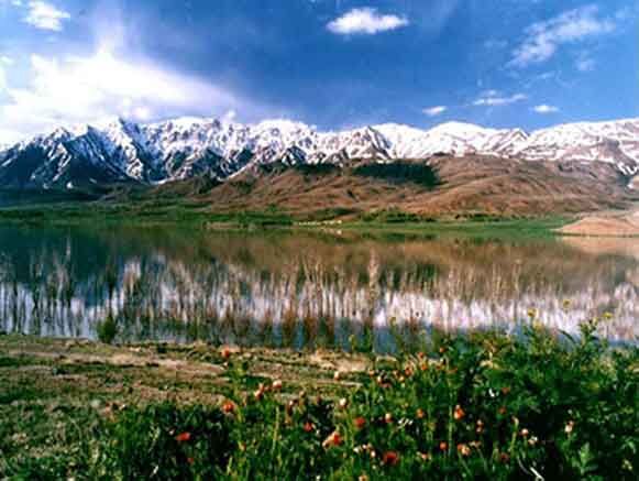 رونق اقتصادی گیاهان دارویی در بام ایران