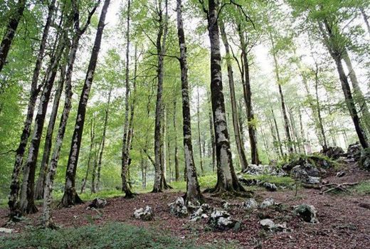 آموزش، ترویج و مشارکت مردمی؛ سه‌ضلعی پیشگیری از تخریب اراضی ملی