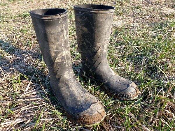 عددسازی تا فروش نماد کشاورزی