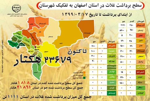 آغاز برداشت گندم و جو در مزارع اصفهان