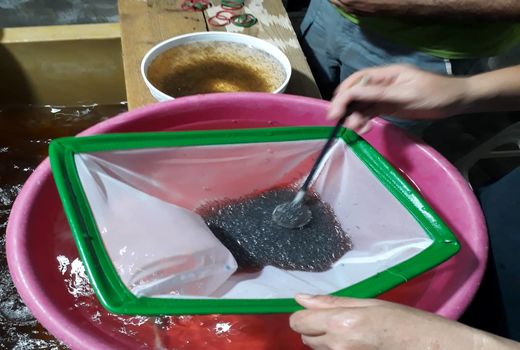 آغاز فعالیت تکثیر بچه میگو در چوئبده آبادان 