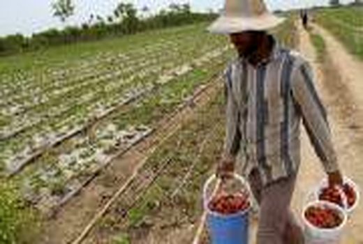 ظرفیت اشتغالزایی دربخش کشاورزی البرز است