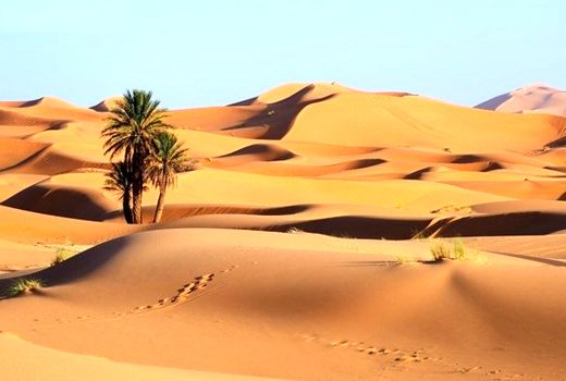 کاهش تخریب پوشش گیاهی اولویت ماست