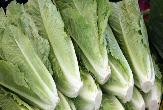 برداشت 20 هزار تن محصولات سبزی در قیروکارزین