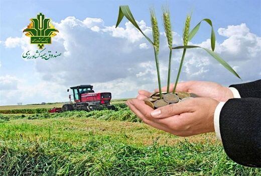 تلاش برای توسعه صندوق بیمه به دست بهره‌برداران