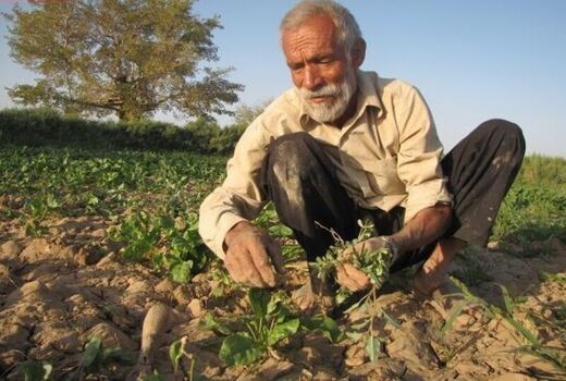 پرداخت تسهیلات به مستمری‌بگیران روستایی و عشایری استان ایلام
