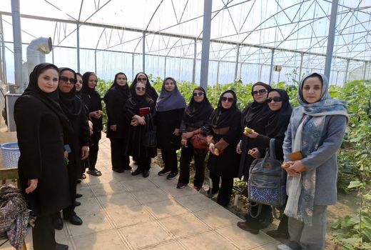 تقویت توانمندی و تبادل تجربه میان زنان روستایی؛ گامی در مسیر توسعه پایدار روستاها