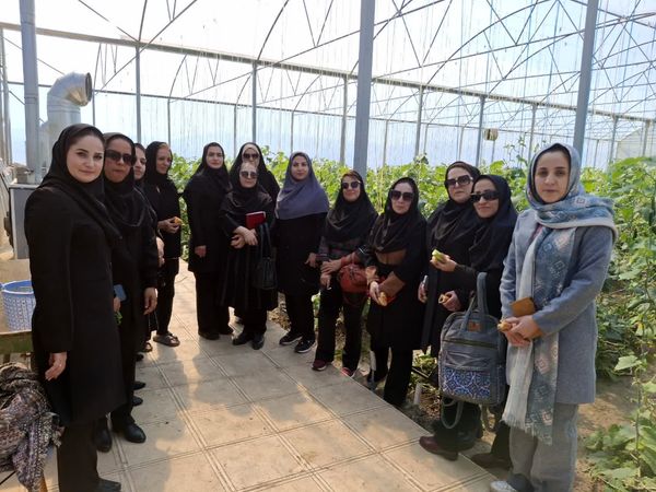 تقویت توانمندی و تبادل تجربه میان زنان روستایی؛ گامی در مسیر توسعه پایدار روستاها