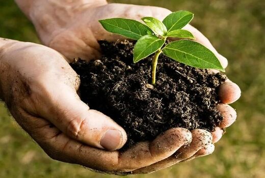 پیچیدگی‌ در ارزش‌گذاری اقتصادی خاک/ اجرای قانون حفاظت خاک وارد فاز مستمر شده است