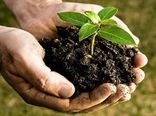 پیچیدگی‌ در ارزش‌گذاری اقتصادی خاک/ اجرای قانون حفاظت خاک وارد فاز مستمر شده است