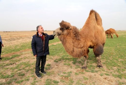 لزوم حفاظت از ذخایر ژنتیکی بومی برای تامین امنیت غذایی کشور 