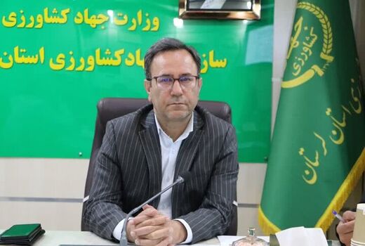 ۳۳ هزار تن سهم لرستان در تولید گوشت کشور 