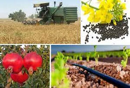 اجرای عملیات صدور شناسنامه باغی در استان سمنان