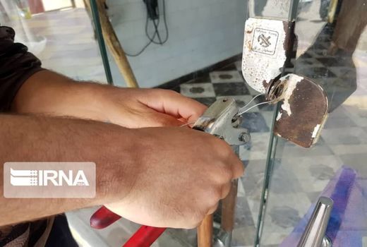 معرفی ۴۸ واحد عرضه‌کننده مواد خام دامی غیربهداشتی در چهارمحال و بختیاری به تعزیرات 