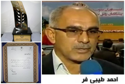 رتبه نخست کلزاکار ایران از آن خوزستان     