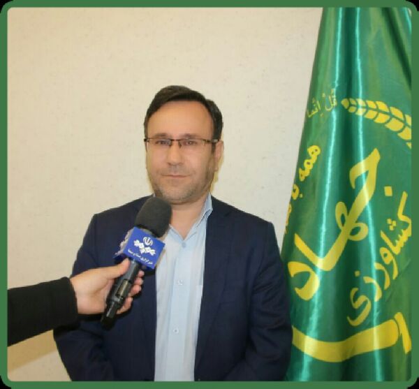 واریز ۶۰ میلیارد تومان به حساب کشاورزان لرستانی خسارت دیده