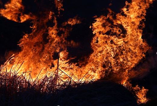 تجهیزات یگان حفاظت منابع طبیعی خراسان شمالی کافی نیست