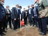 استان کرمانشاه قابلیت فراوانی برای اجرای طرح گردشگری کشاورزی دارد