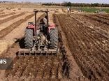 کشت انتظاری 100 هکتار عدس و نخود