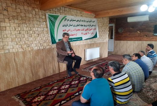 بازدید مسئولین مراکز جهاد کشاورزی  ازمزارع گندم دیم قزوین