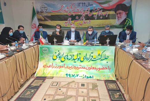 پتانسیل تولید ۲۰۰ هزار تن کلزا در استان خوزستان