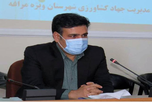 پنجمین سال اجرای پروژه ارتقاء امنیت غذایی در شهرستان مراغه در سال زراعی جاری