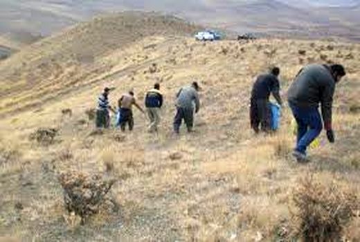 کپه کاری و بذرپاشی 131 هکتار از مراتع حوزه آبخیز چنداب 