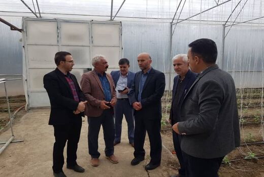 بازدید رئیس سازمان جهاد کشاورزی لرستان از واحد گلخانه ای ۴۳۰۰ متری در شهرستان ازنا