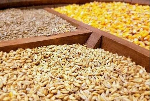 الزامی شدن خرید نهاده از طریق سامانه بازارگاه نهاده‌های کشاورزی