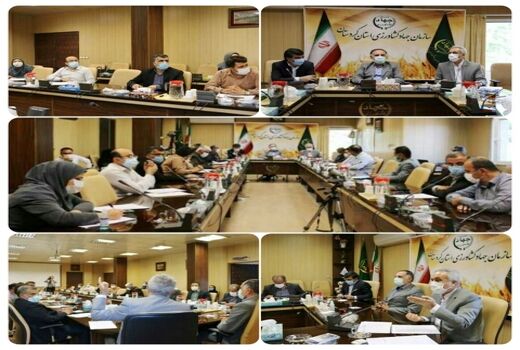 افزایش ۱۸ درصدی جوجه‌ریزی در کردستان