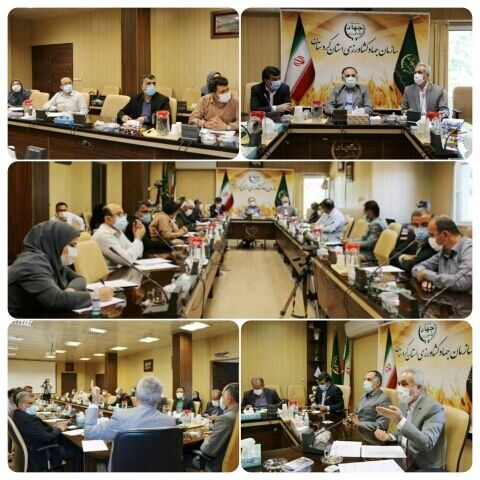 افزایش ۱۸ درصدی جوجه‌ریزی در کردستان