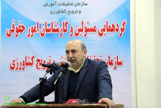 گسترش سفره مردم به‌واسطه ارزان‌سازی غذا