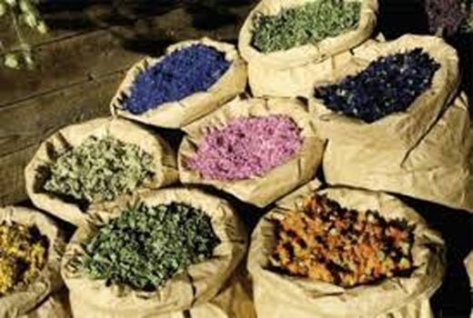 راه اندازی باراندازهای گیاهان دارویی در کشور